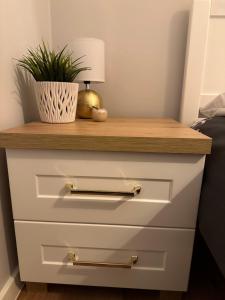 a table with two drawers and a plant on top at Berlińska 43 in Jelenia Góra