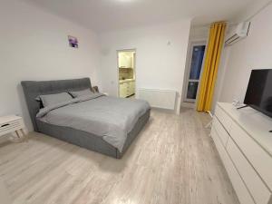 a bedroom with a bed and a flat screen tv at Avangarde City bloc 7 in Roşu