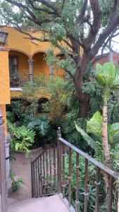 a house with a tree in front of a fence at Casa Díaz in San Miguel de Allende