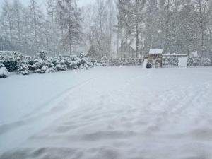 Wejsuniak Mazury om vinteren