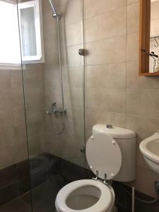 a bathroom with a shower and a toilet and a sink at Tranquility House Astros in Paralio Astros +42 photos