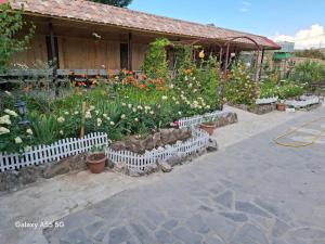 een bloementuin voor een gebouw bij Алрез Гостевой дом in Vardanavan
