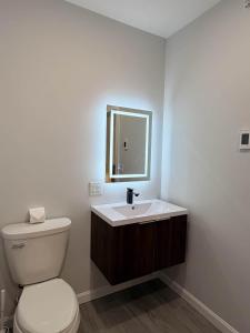 a bathroom with a white toilet and a sink at Vineyard Room @ Boulder Mountain View Barn in Twin Mountain