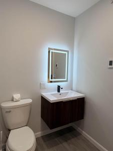 a bathroom with a white toilet and a sink at Vineyard Room @ Boulder Mountain View Barn in Twin Mountain