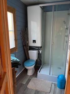 a bathroom with a toilet and a shower at Chalet en lisiere de Foret in Lacanau