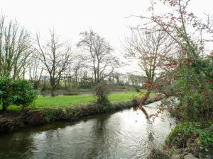 een rivier in een park met bomen en gras bij The Mill in Bryngwran