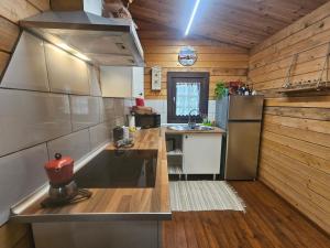 a small kitchen with a sink and a refrigerator at CABAÑA Mirador de las Lagunetas in Vega de San Mateo +15 photos
