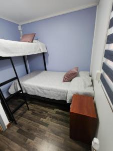 蓬塔阿雷纳斯Ruka Austral的有两张双层床和一张桌子的房间 更多10张照片