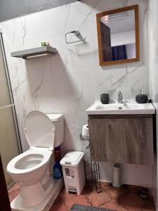 a bathroom with a toilet and a sink and a mirror at Casa Girasol PZ in San Isidro