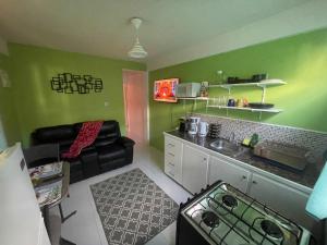 a kitchen with green walls and a couch in a room at Caribbean Dream Vacation Property CD6 in Rodney Bay Village