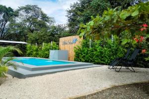 a swimming pool with a chair in a garden at BlueStone Residence in Brasilito