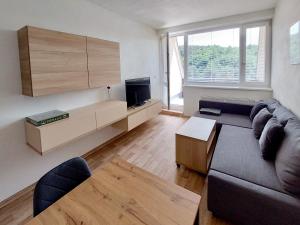 a living room with a couch and a tv at Apartmán Všemina 300 in Všemina