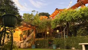 En have udenfor Airport Traveler's home.