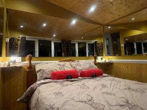 a bedroom with a bed with red pillows on it at Cuckoo Cabin, Tyn Y Cwm in Scyborycoed