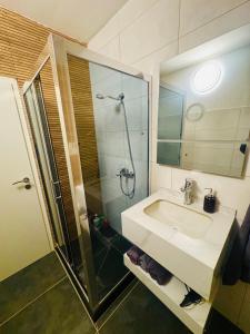 een badkamer met een wastafel en een glazen douche bij Villa Lakeview Appartment in Leissigen