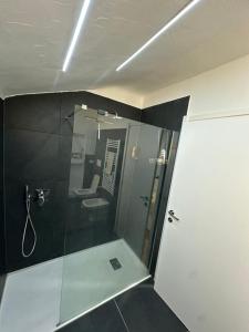 a bathroom with a shower and a sink at Silver Apartment Milano in Agrate Brianza