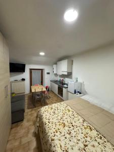 a bedroom with a large bed and a kitchen at Silver Apartment Milano in Agrate Brianza