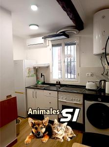 Køkken eller tekøkken på Apartamento La Cueva