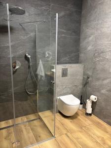 a bathroom with a glass shower with a toilet at Rusiński Raj - Domki in Bukowina Tatrzańska +14 photos