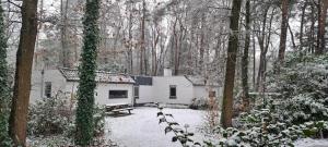a cabin in the woods with snow on the ground at Knabbel en Babbel in Lochem