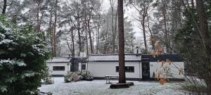 a house in the woods with snow on the ground at Knabbel en Babbel in Lochem