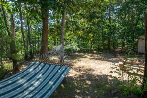 En have udenfor Home Near Oceanside Beaches Dog Friendly