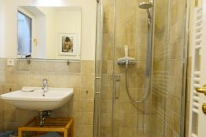 a bathroom with a sink and a shower at Ferienwohnung Malerwinkel in Seedorf
