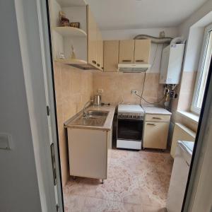 a small kitchen with a sink and a stove at Maria Central Studio in Târgu Neamț
