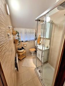 un bagno con doccia e WC di Boho House 5 camp Terme Catez with promotional tickets prices a Čatež ob Savi