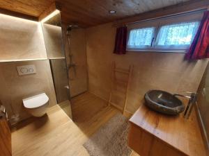 a bathroom with a shower and a toilet and a sink at Hütta Monika in Sankt Gallenkirch +2 photos