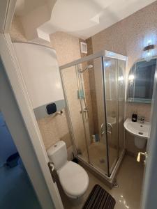 a small bathroom with a toilet and a shower at Studio Maria in Galaţi +7 photos