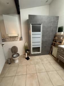 a bathroom with a toilet and a mirror at Loft Des Sens in Saint-Chamond