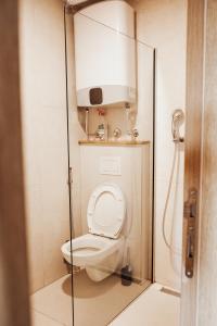 a small bathroom with a toilet and a shower at Pine apartment Vlašić in Vlasic +24 photos