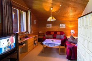 a living room with a couch and a tv at Haus Framgard in Zirkitzen