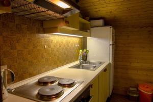 a kitchen with a sink and a stove top oven at Haus Framgard in Zirkitzen +3 photos