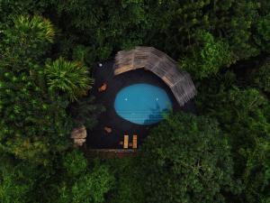 eine Draufsicht auf einen Tunnel in einem Wald in der Unterkunft Finca Barlovento Maloka, Tayrona Park in Los Naranjos