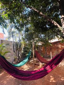 a hammock hanging from a tree in a yard at Apartamento 4 quartos Contagem in Contagem