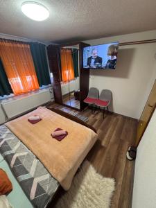 a bedroom with a bed and a flat screen tv at Apartman Josip with Pool in Gospić