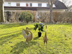 two birds standing in the grass near a house at Öresundhus 2 in Prerow +4 photos