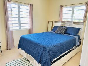 a bedroom with a bed with a blue comforter and two windows at O L S Property in Saint Marks Village