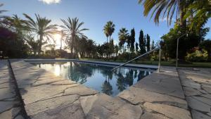 a swimming pool with palm trees in the background at Almabella in Breña Baja +37 photos