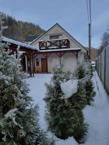 een huis met met sneeuw bedekte kerstbomen in de tuin bij Ubytovanie Hronec in Hronec