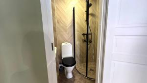 a bathroom with a toilet in a bathroom stall at Bohemian Chic apartment in Kalamaja in Tallinn