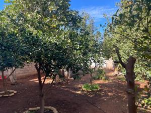 En have udenfor Small beautiful villa