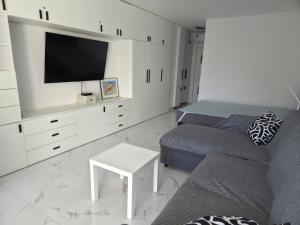 Et tv og/eller underholdning på Stinica apartma Paradise