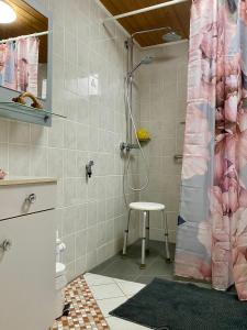 bagno con doccia e sgabello di FeWo im Dreiländereck a Büchlberg