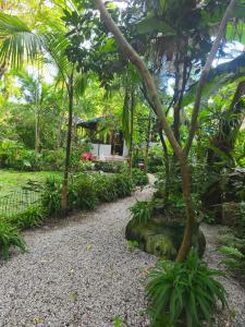 een tuin met een boom op een rots bij Quarto com cama de casal - Florianópolis in Florianópolis