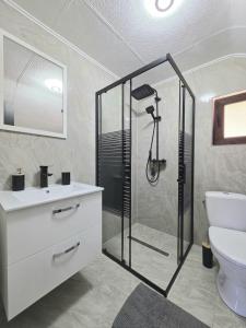 Et badeværelse på Pensiunea Agroturistica Acvila Apusenilor + 80 billeder