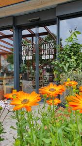 een groep oranje bloemen voor een restaurant bij Lemp's Genussgarten in Langenargen