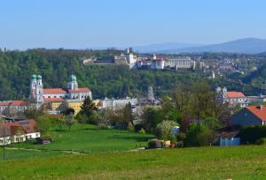 a town on a hill with a green field at FeWo im Dreiländereck in Büchlberg